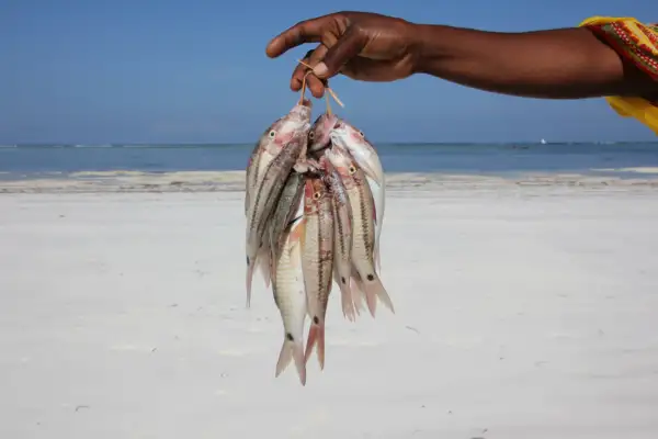 Woman Fisher