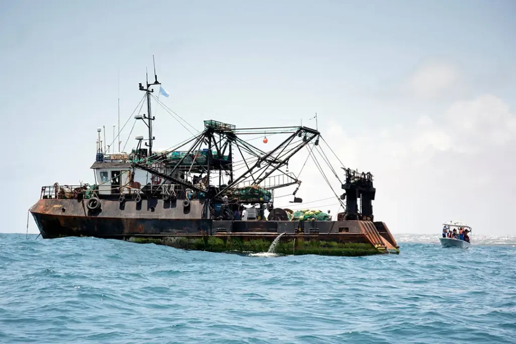 Illegal fishing vessel