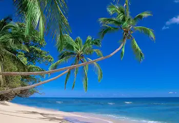 Kenya Coast