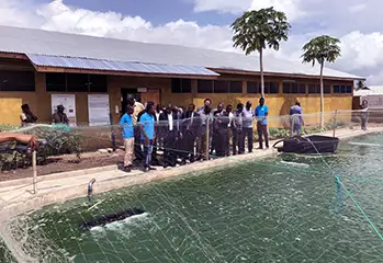 Tanzania Fish Farm
